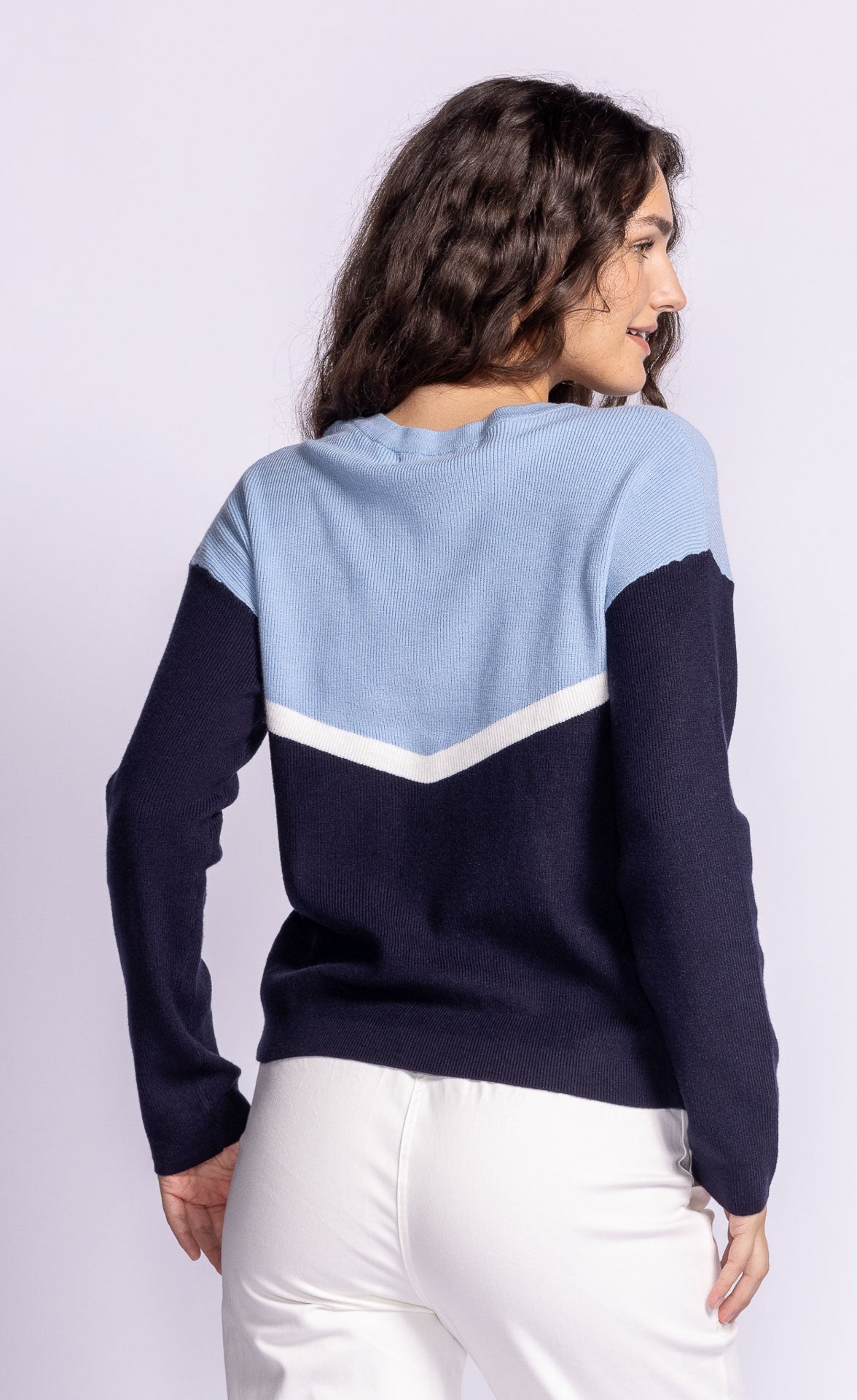 Light blue navy sweater back