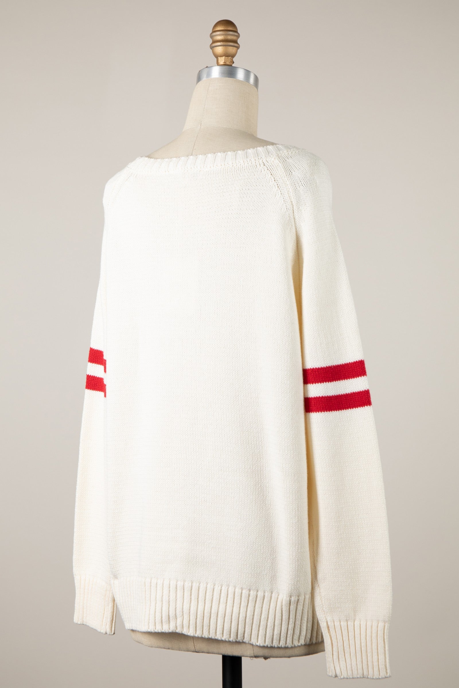 dog walking sweater back